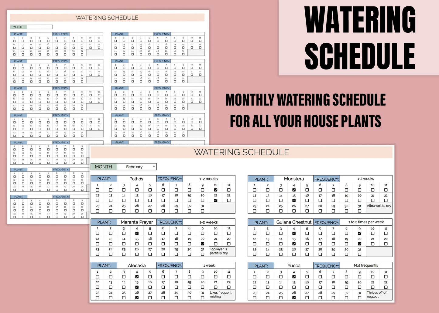 House Plant Care & Watering Schedule | Google Sheets
