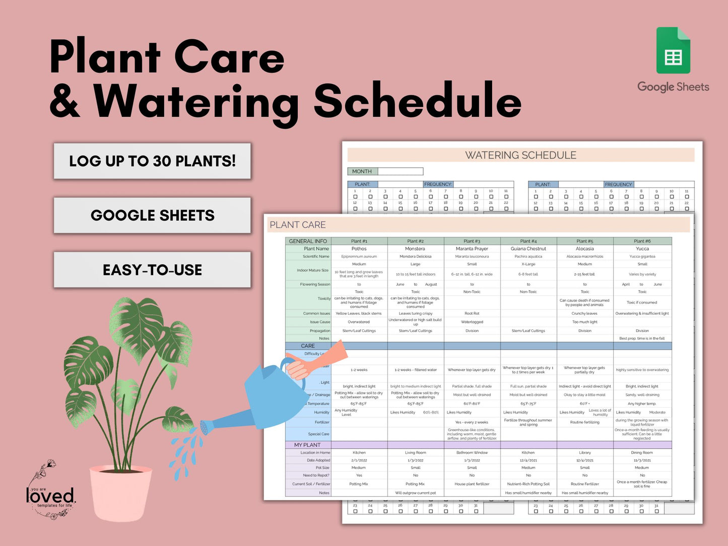 House Plant Care & Watering Schedule | Google Sheets