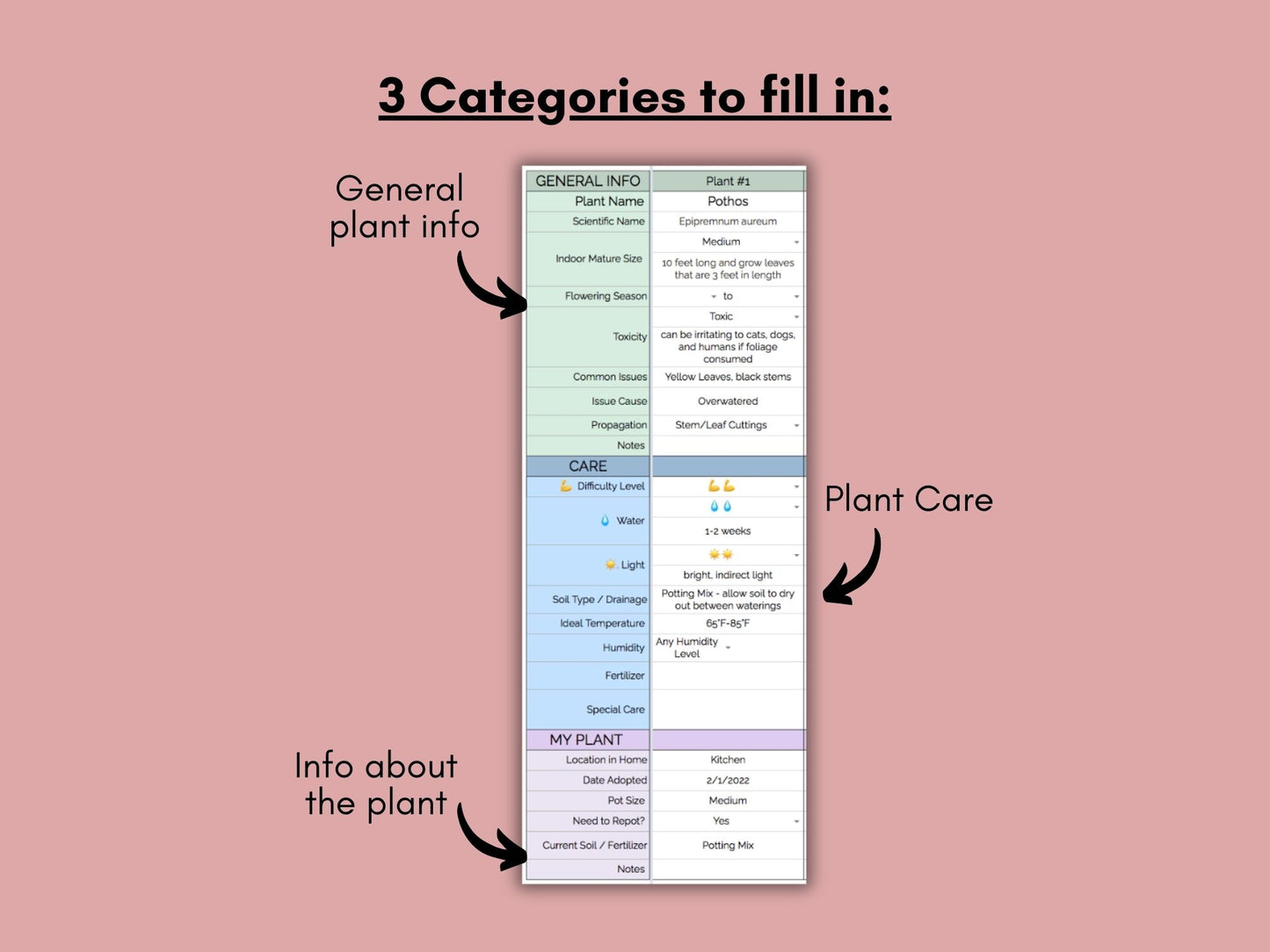 House Plant Care & Watering Schedule | Google Sheets