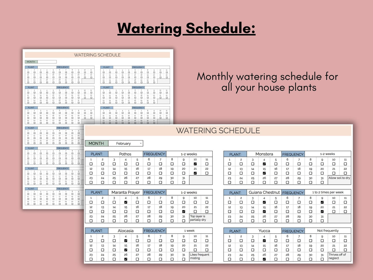 House Plant Care & Watering Schedule | Google Sheets