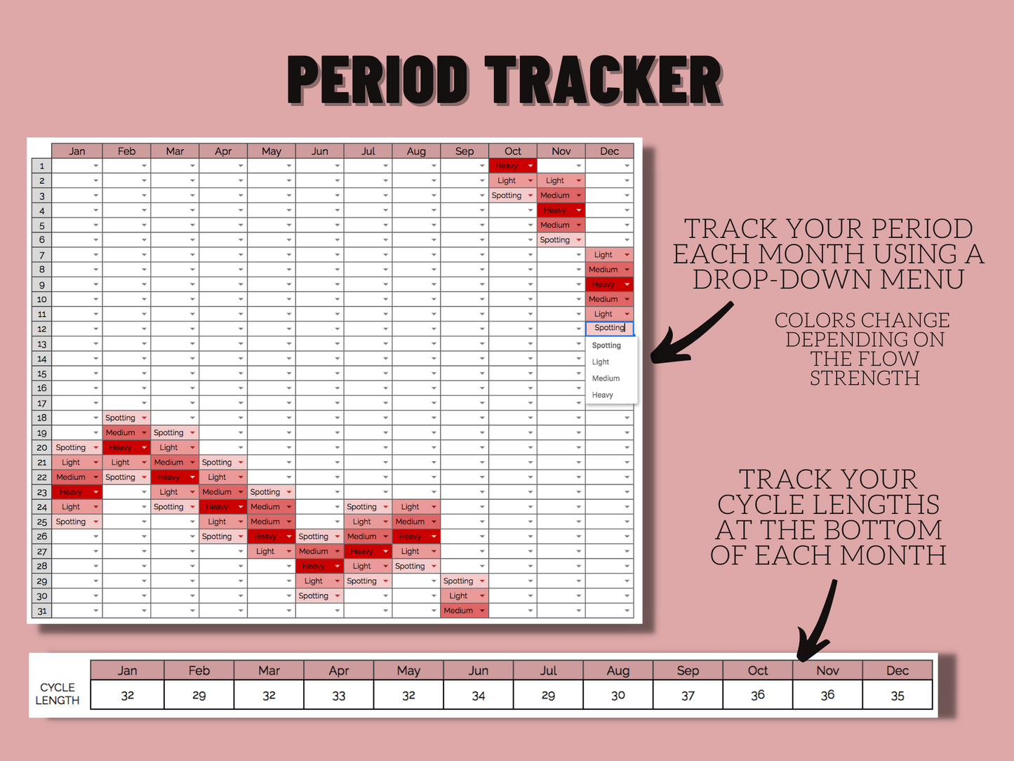 Period & Menstrual Cycle Tracker | Google Sheets Template