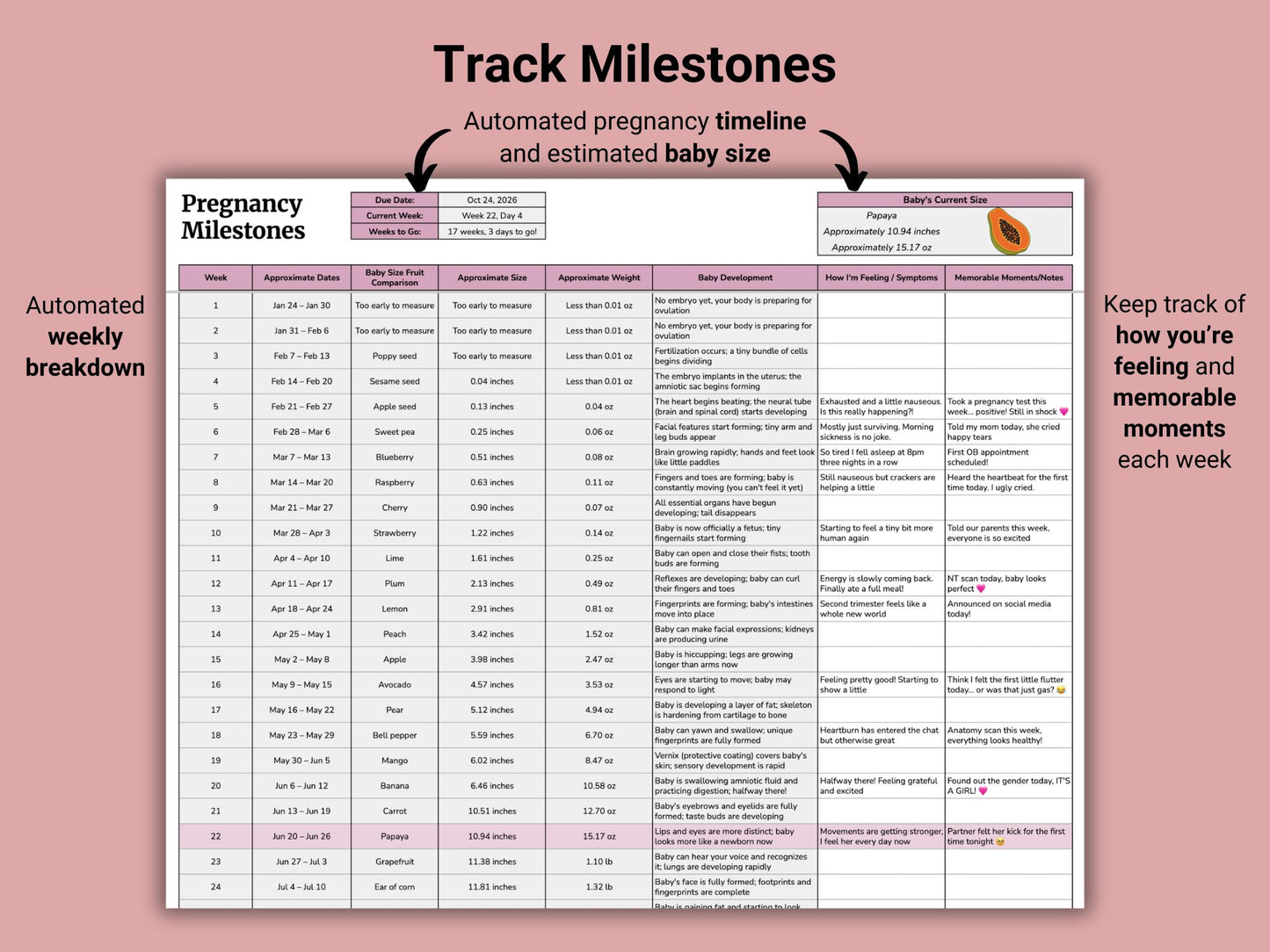 Pregnancy Planner and Journal | Google Sheets Template