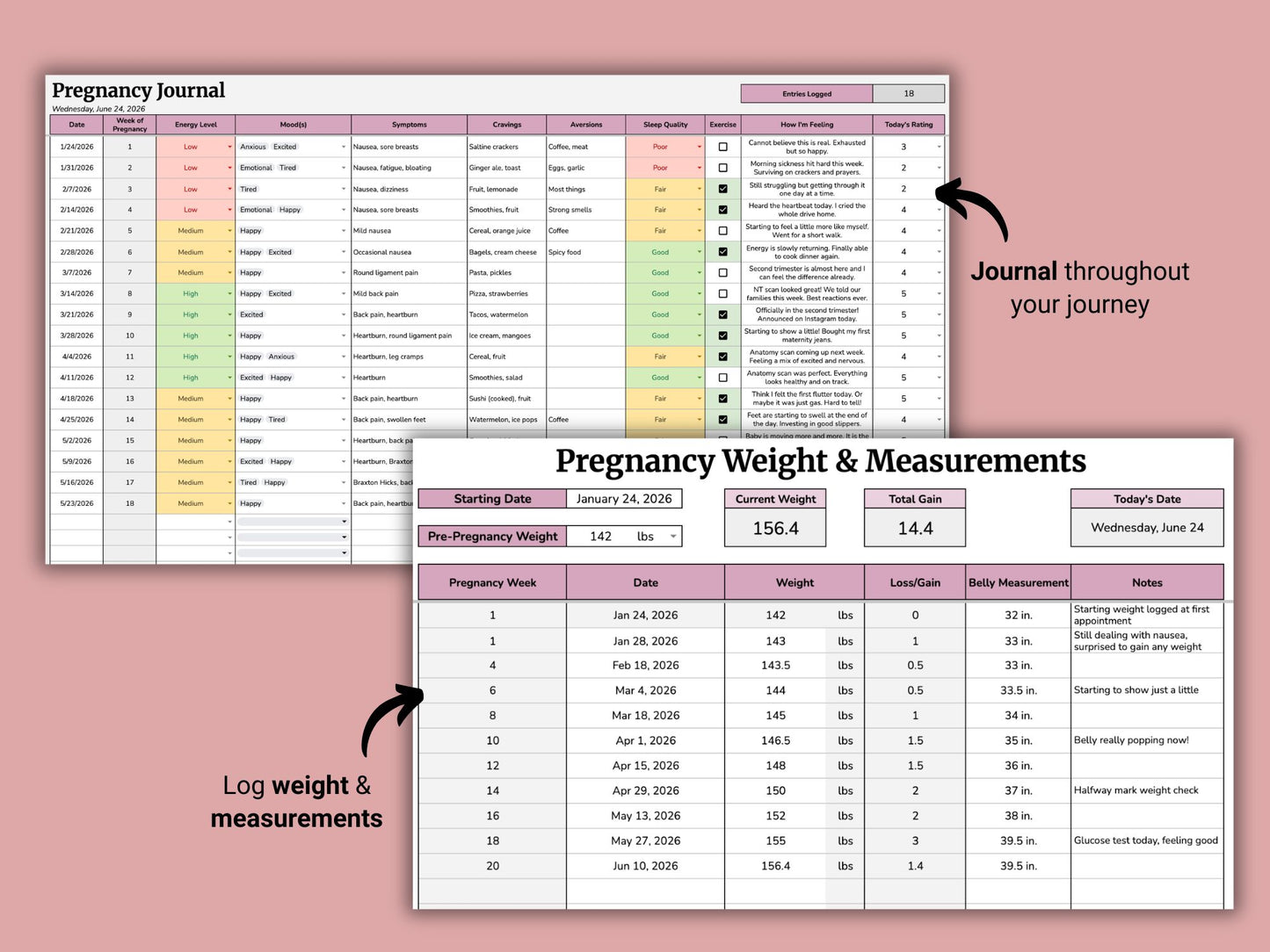 Pregnancy Planner and Journal | Google Sheets Template