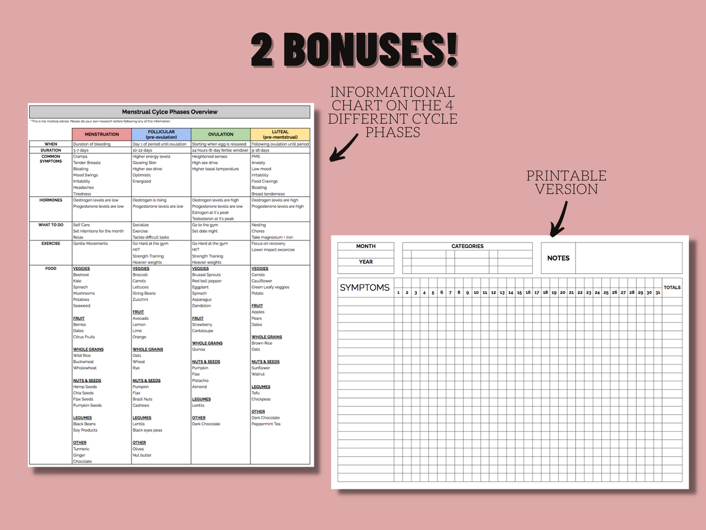 Period & Menstrual Cycle Tracker | Google Sheets Template