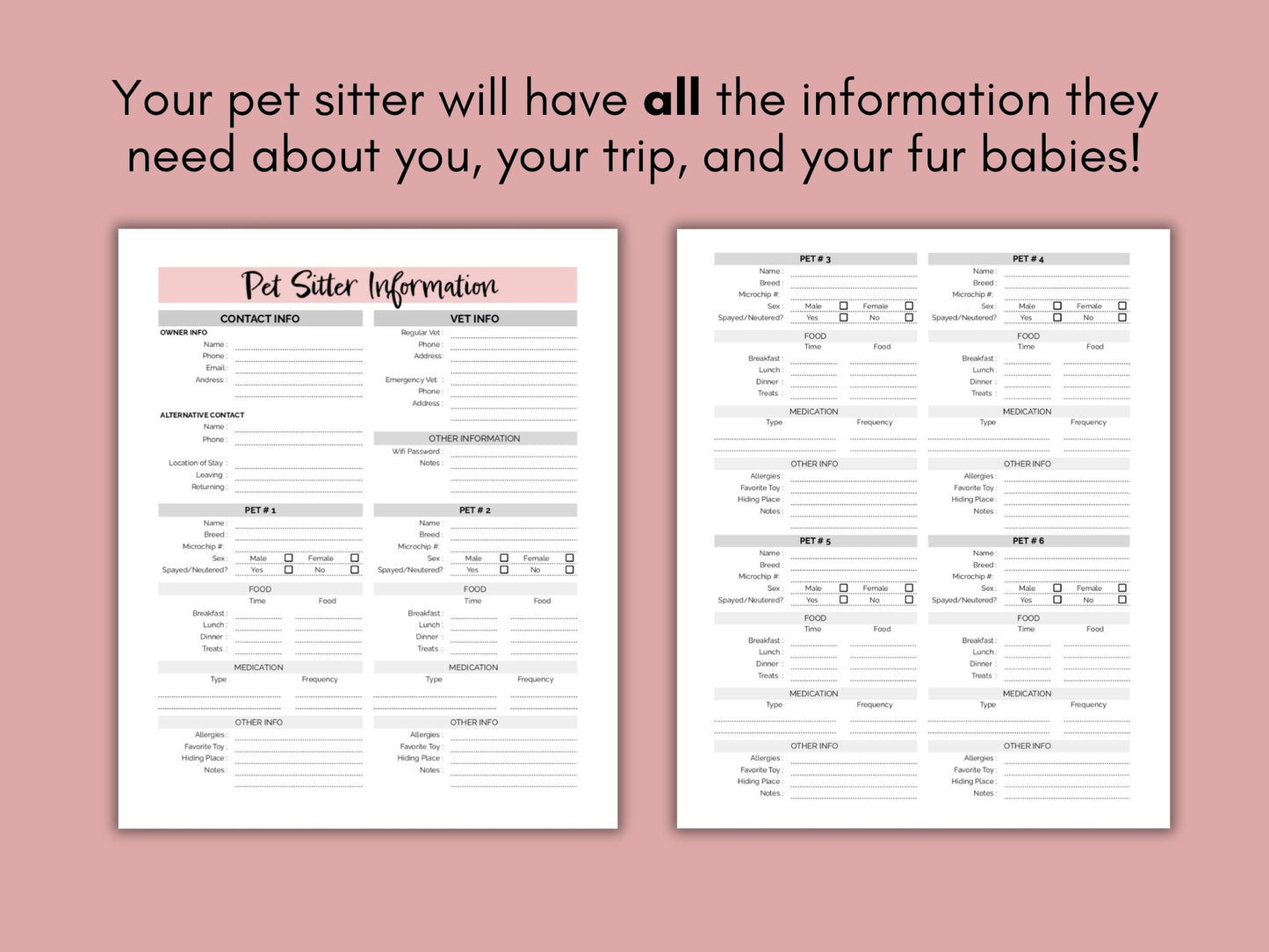 Pet Sitter Instructions | Google Sheets Template | Printable